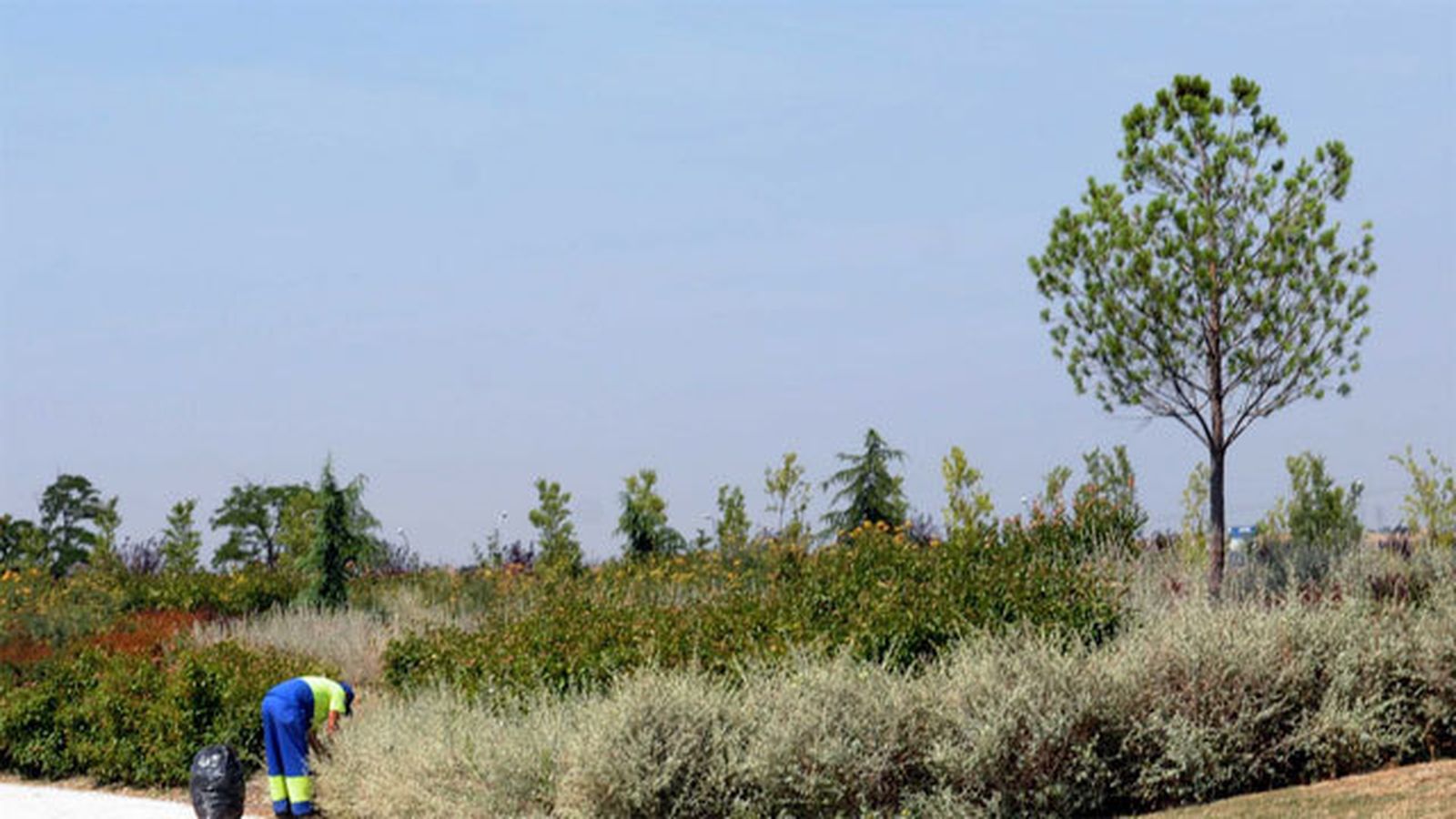 Parque de Valdebebas