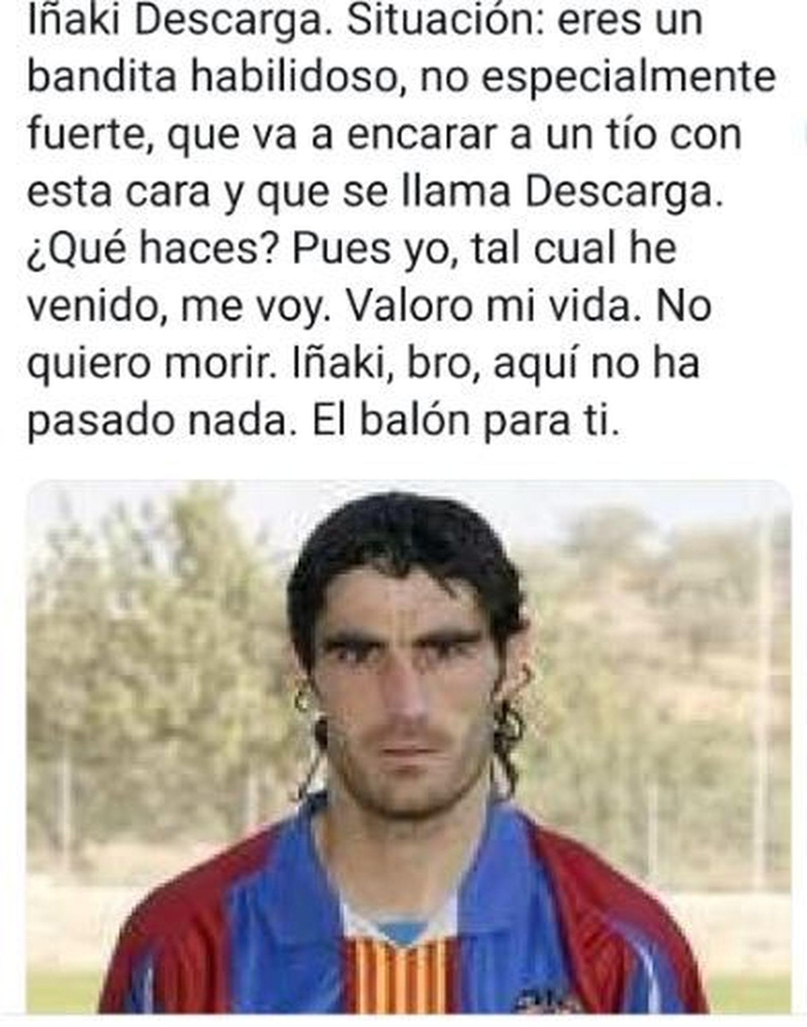 Descarga
