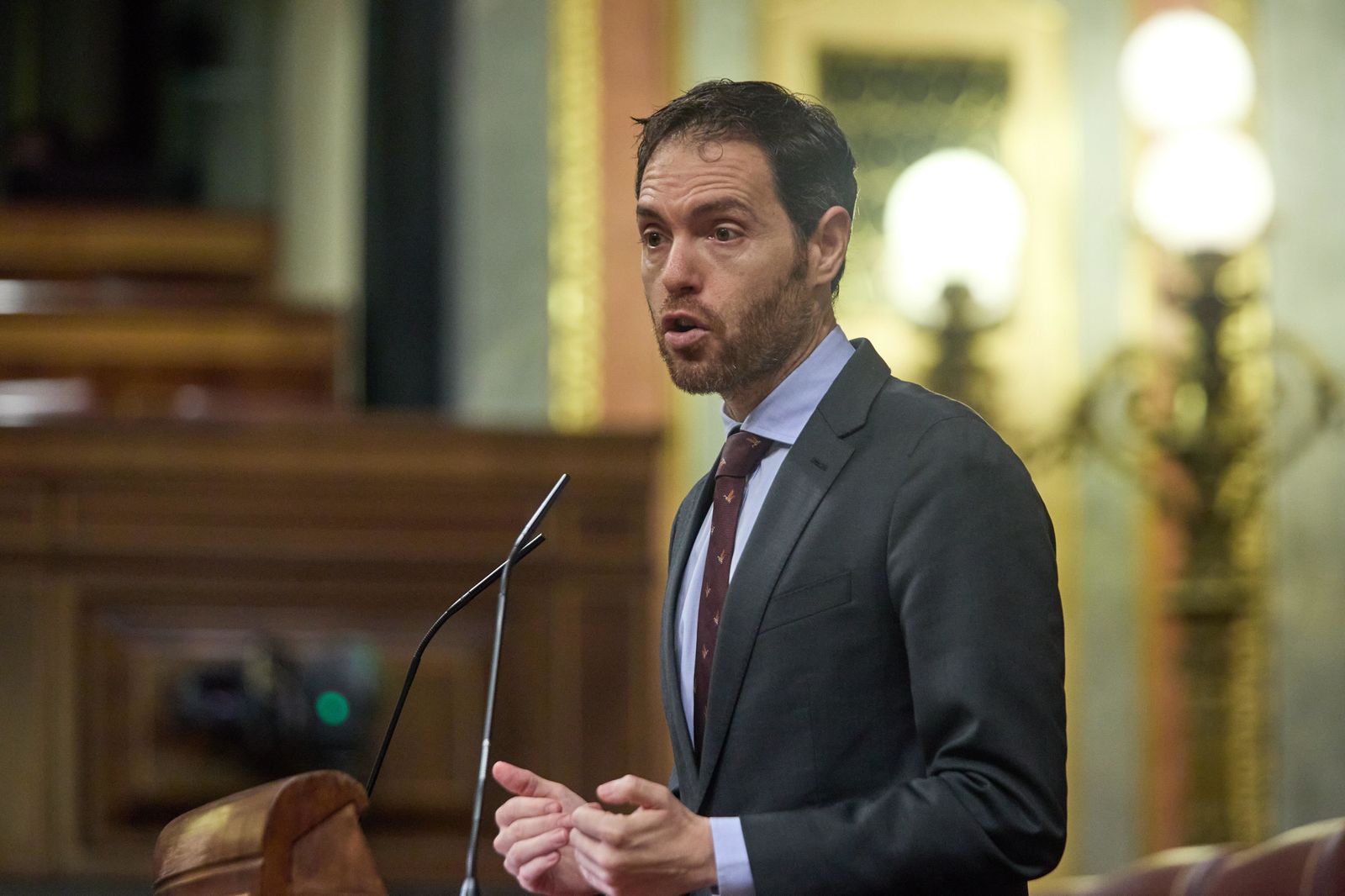 El diputado por Navarra Sergio Sayas