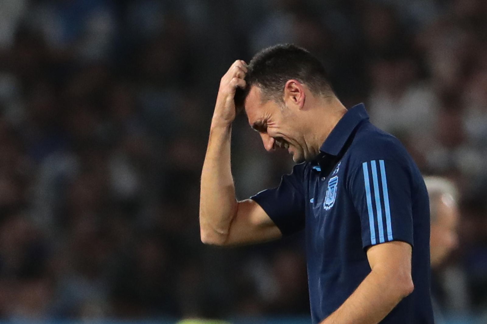 Scaloni