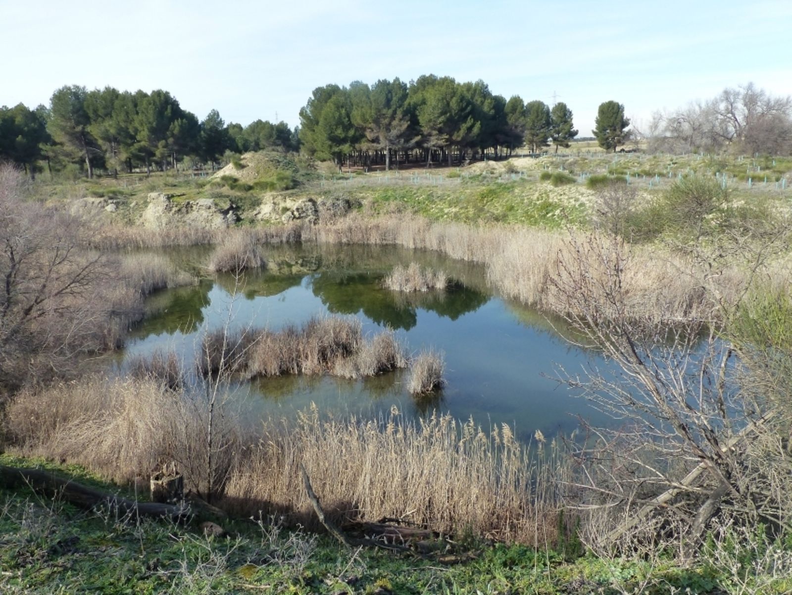 Lagunas de Horna, en Getafe