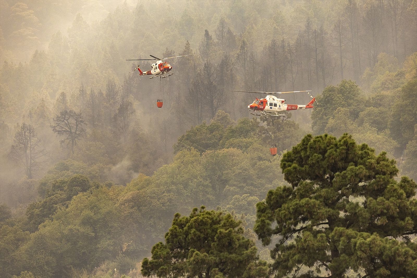 Helicópteros realizan descargas de agua en uno de los focos del incendio de Tenerife