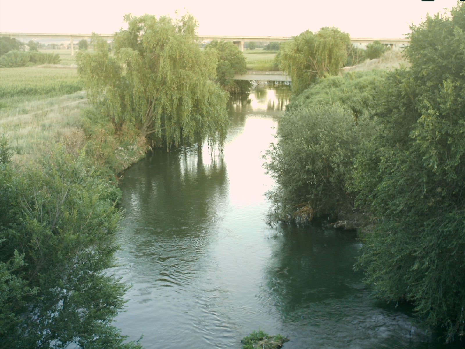Río Manzanares a su paso por el barrio de Butarque, en Villaverde