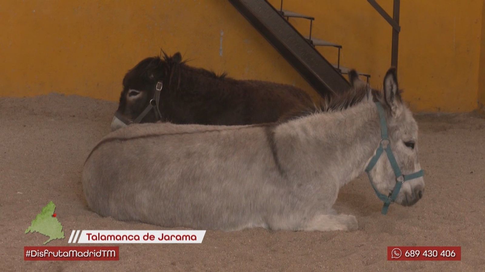 Una granja escuela diferente en Talamanca del Jarama