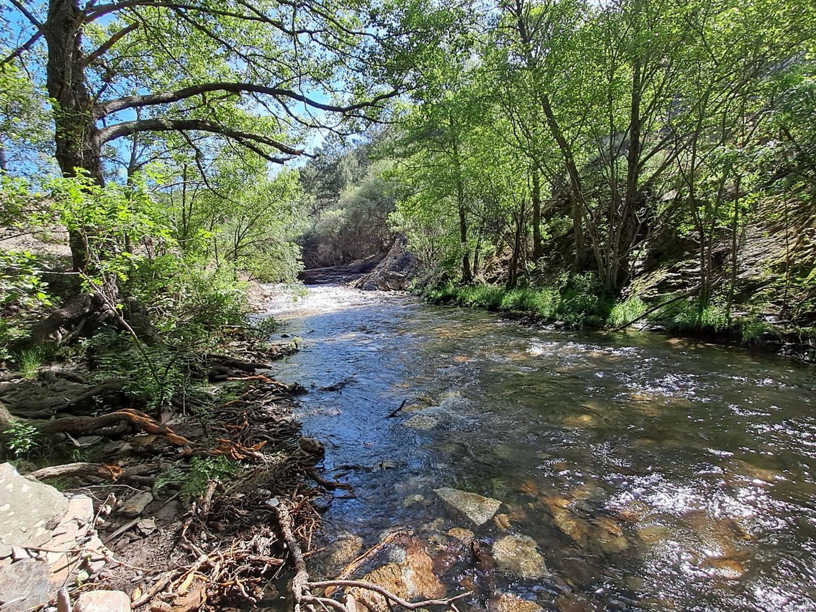 El río de la Puebla, sin la presa, a su paso por Robledilla de la Jara