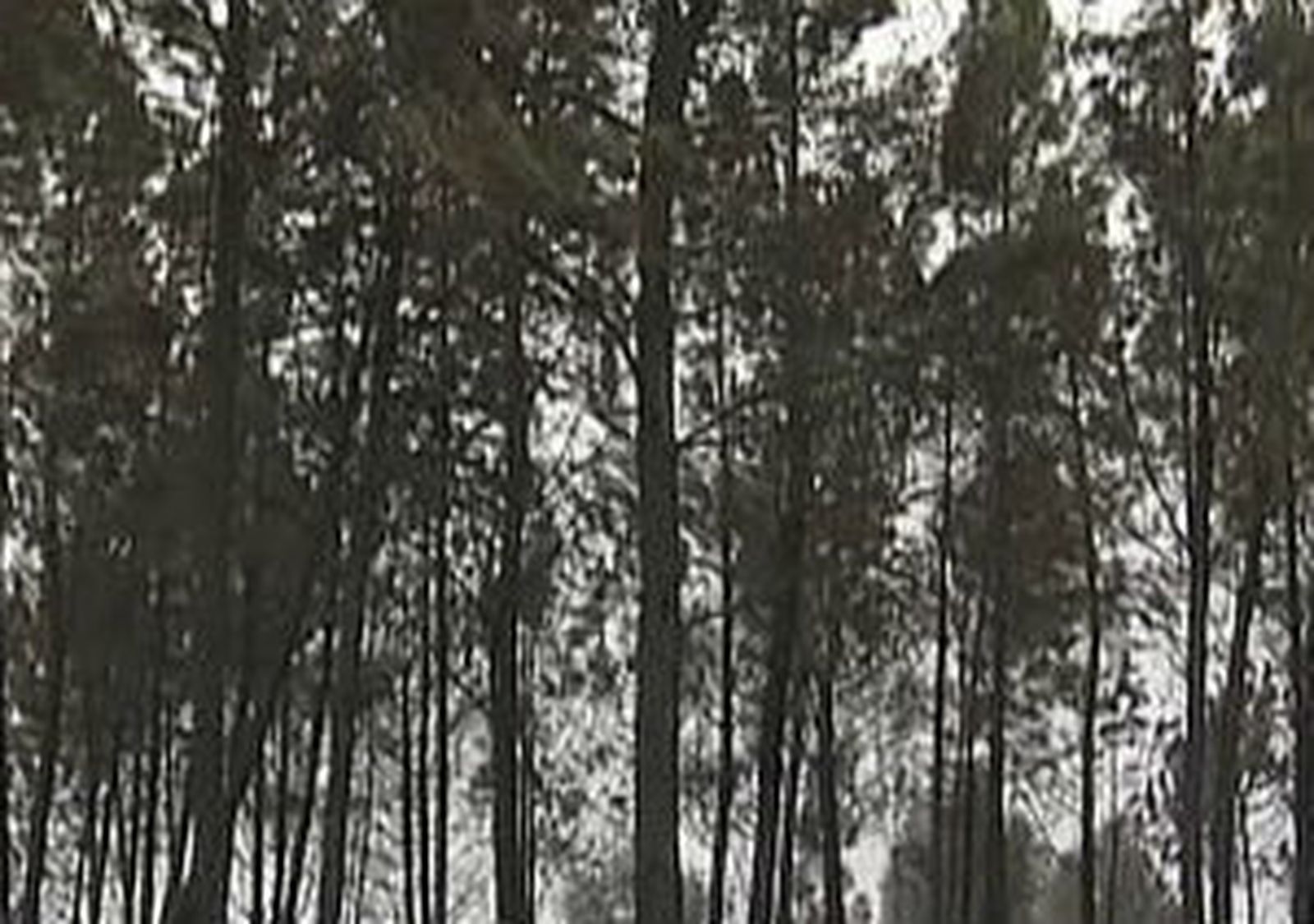 Incendio en Orense
