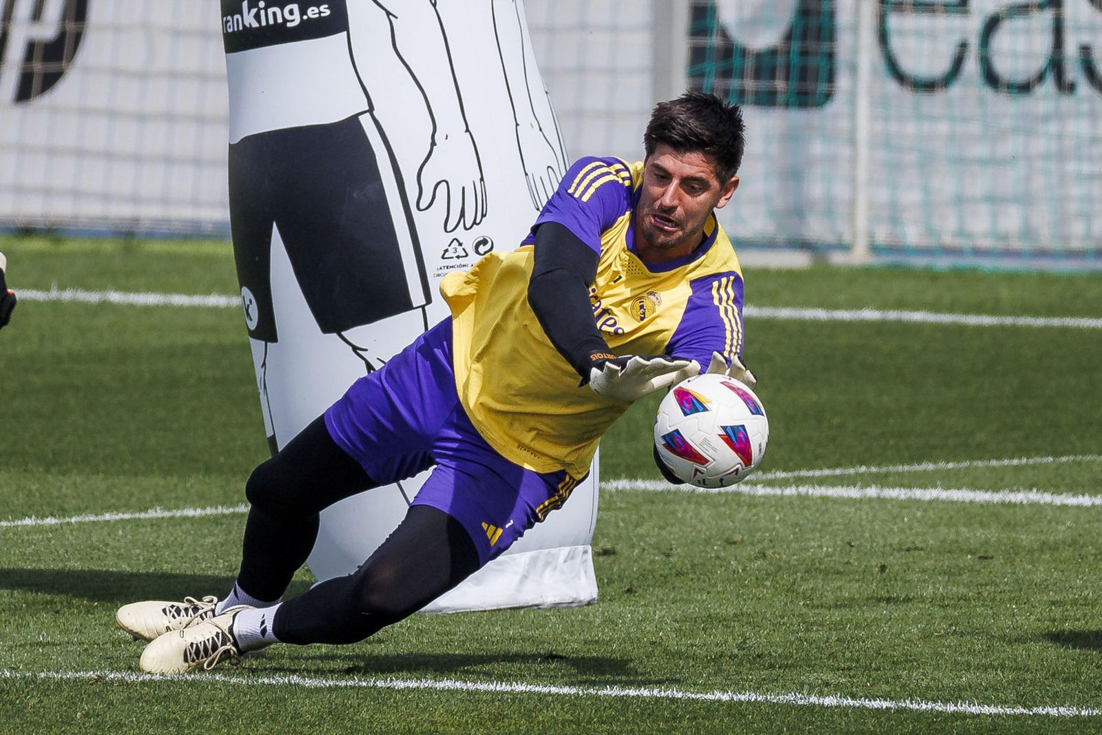 Courtois