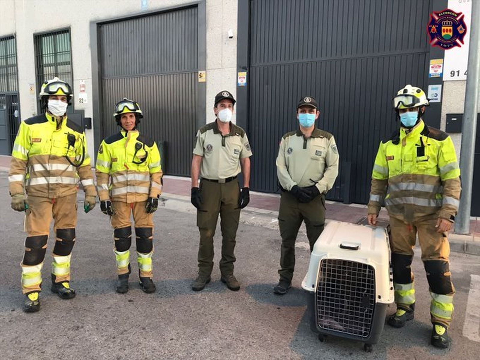Los agentes forestales con el buitre rescatado en Alcorcón