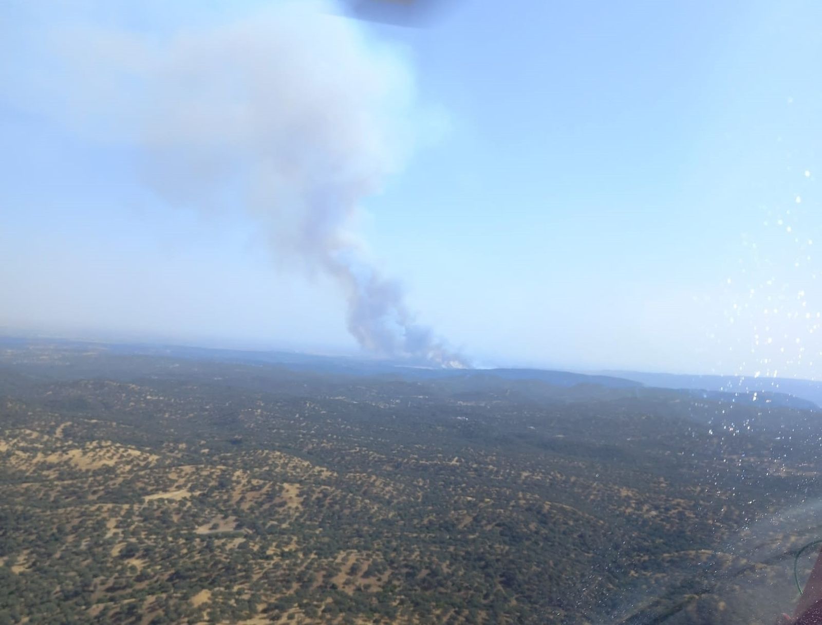 Imagen de una columna de humo provocada por un incendio forestal