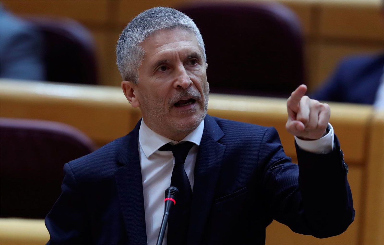 Martínez-Maillo acusa a Marlaska de mentir y exige su dimisión