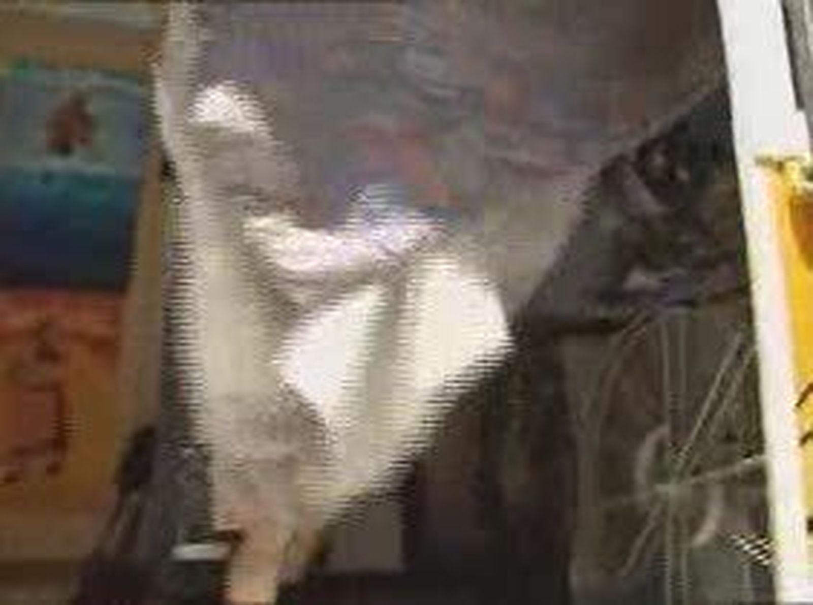 cinealaire_2010823V0.wmv