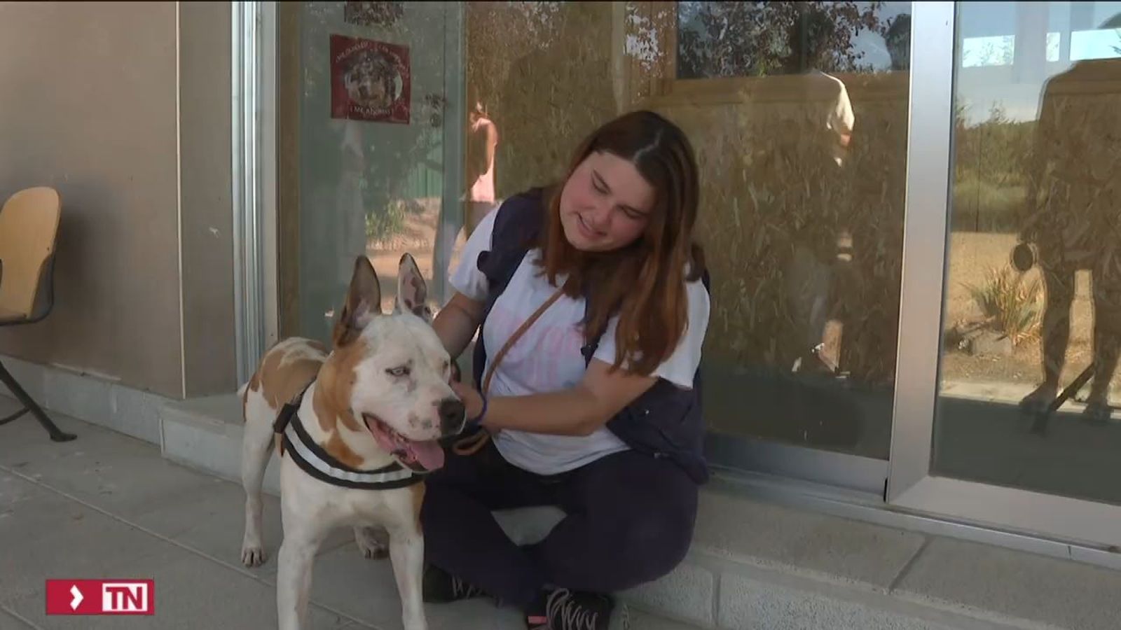 Crece la adopción de animales