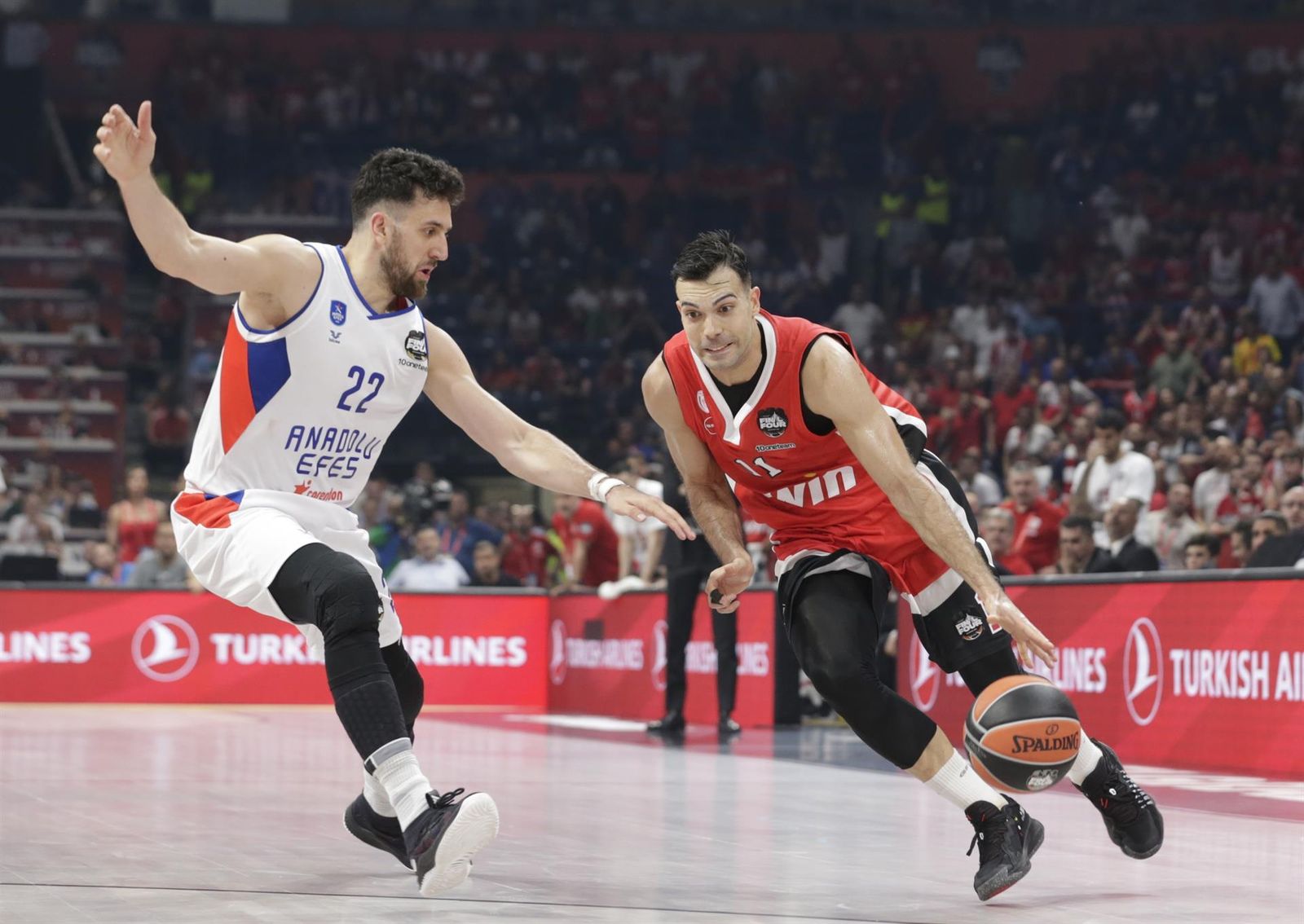 Efes - Olympiakos