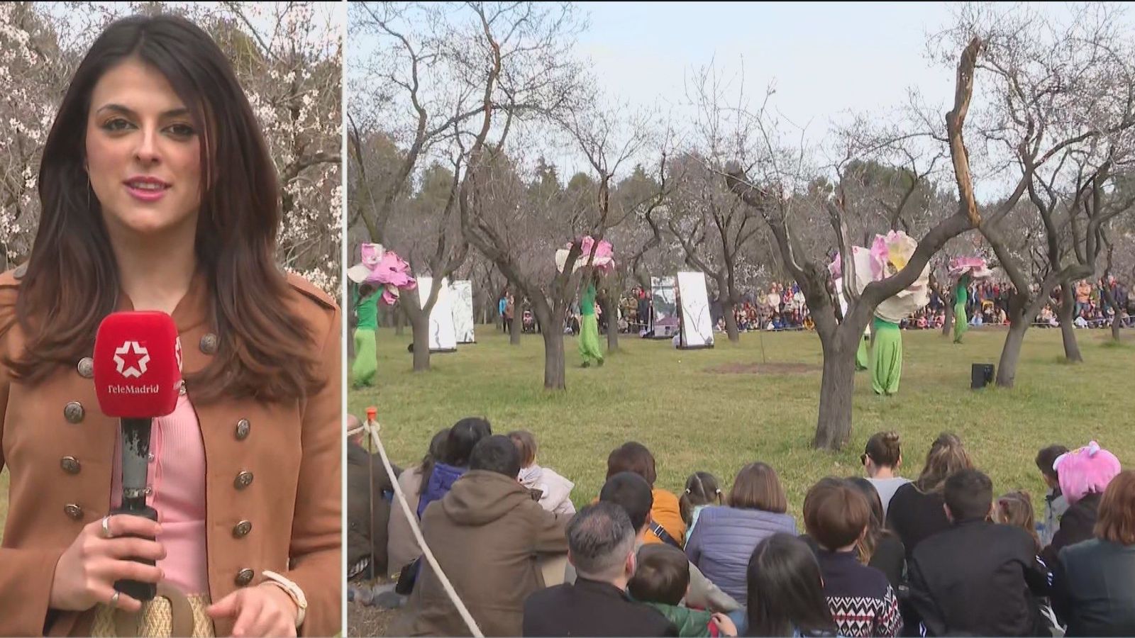 La Quinta de los Molinos celebra la fiesta de los almendros en flor