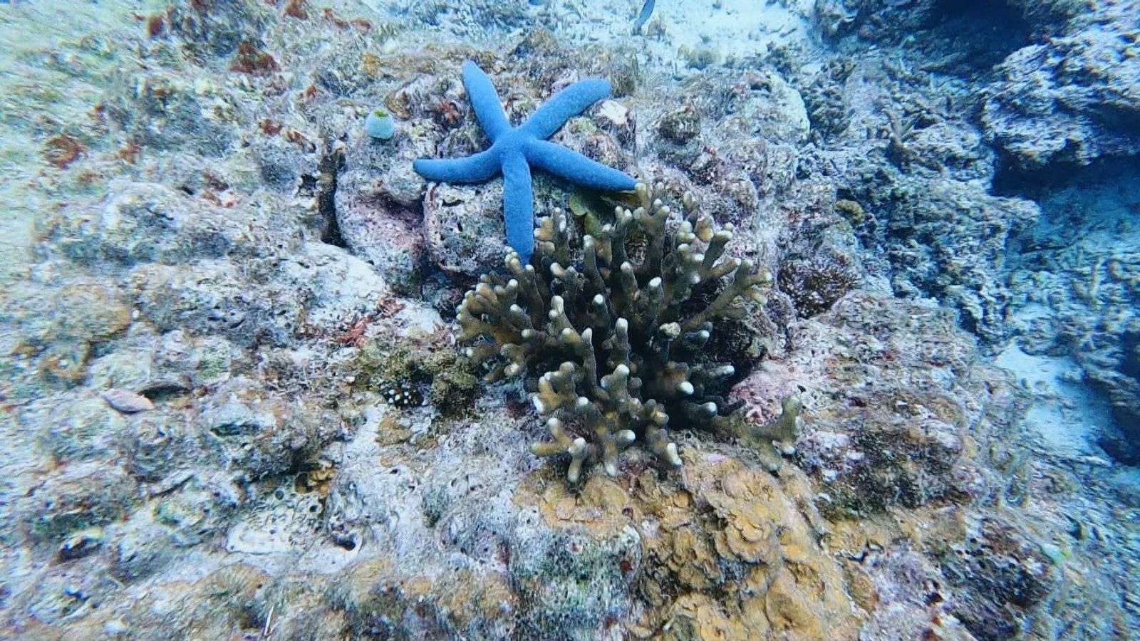 El Nido, Filipinas, uno de los lugares más bonitos del mundo para bucear