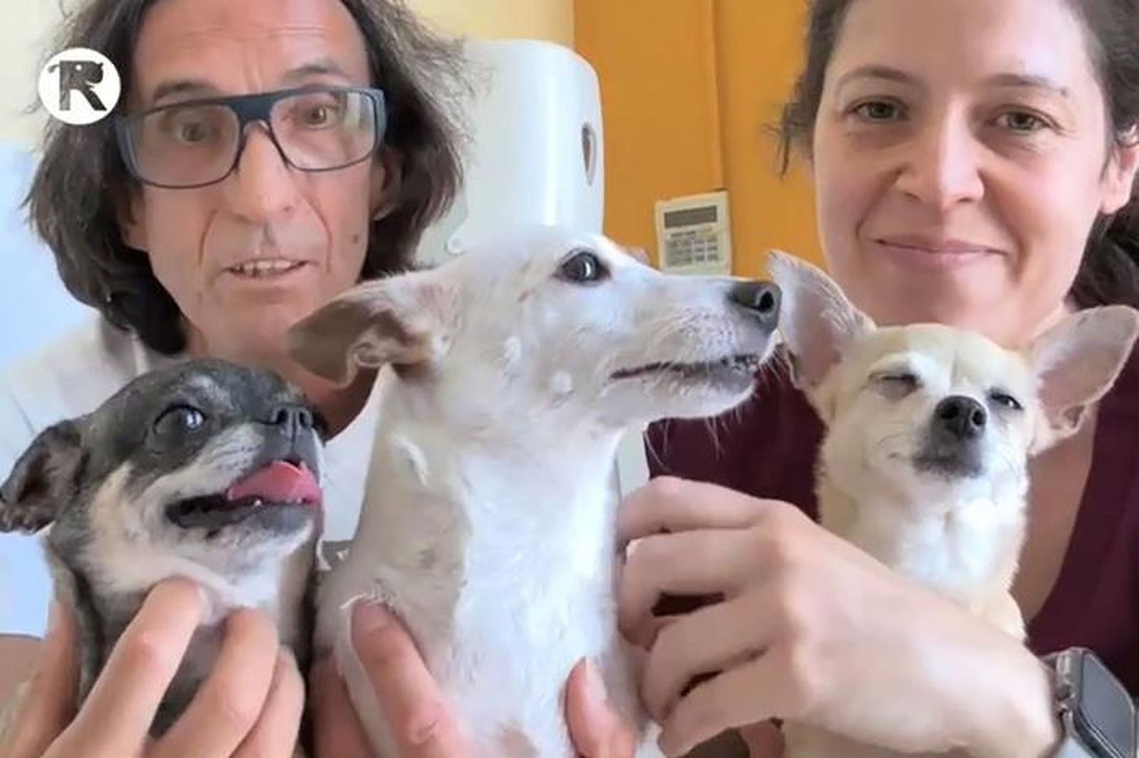 Los tres animales con su dueña y el presidente de El Refugio, Nacho Paunero