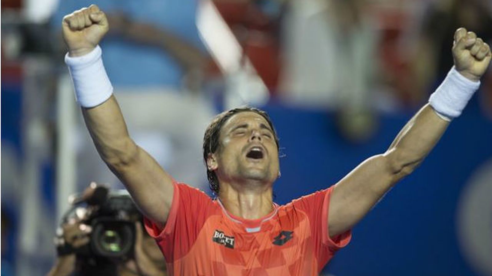 David Ferrer
