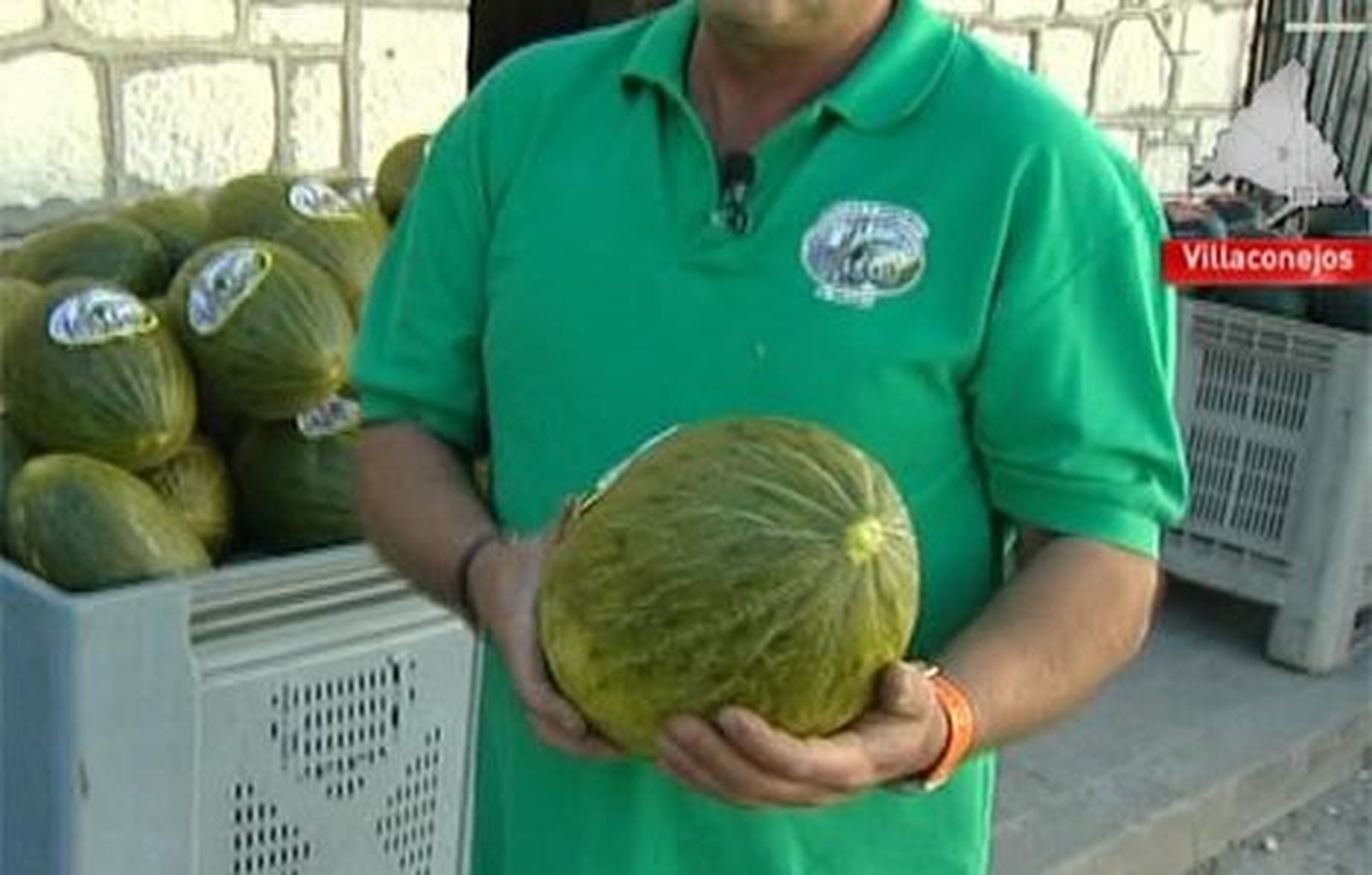Los melones de Villaconejos