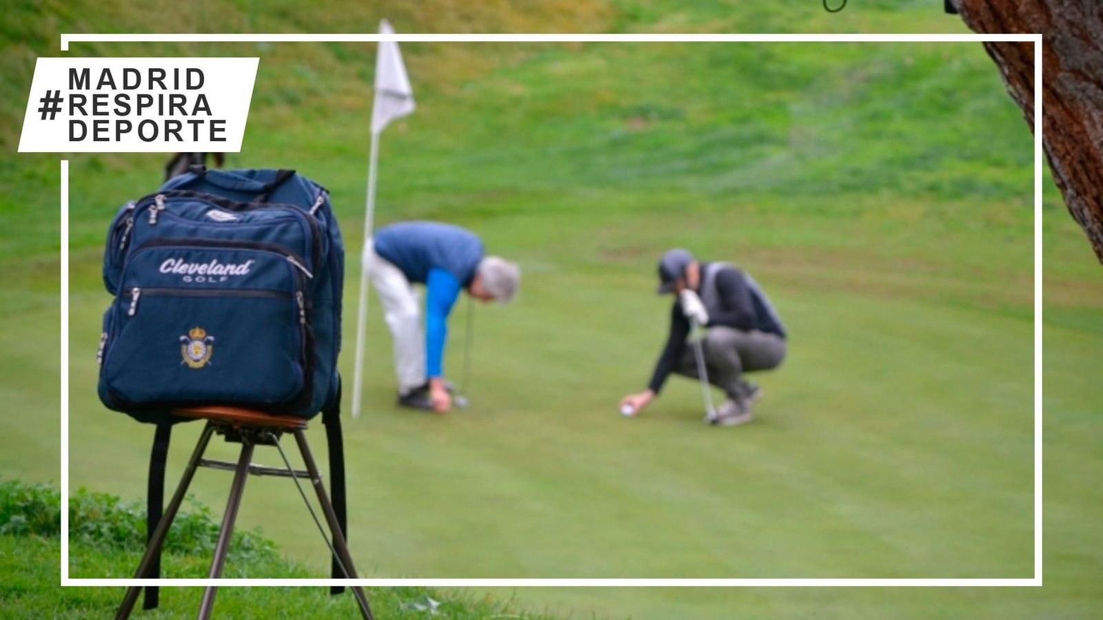 Pitch & Putt