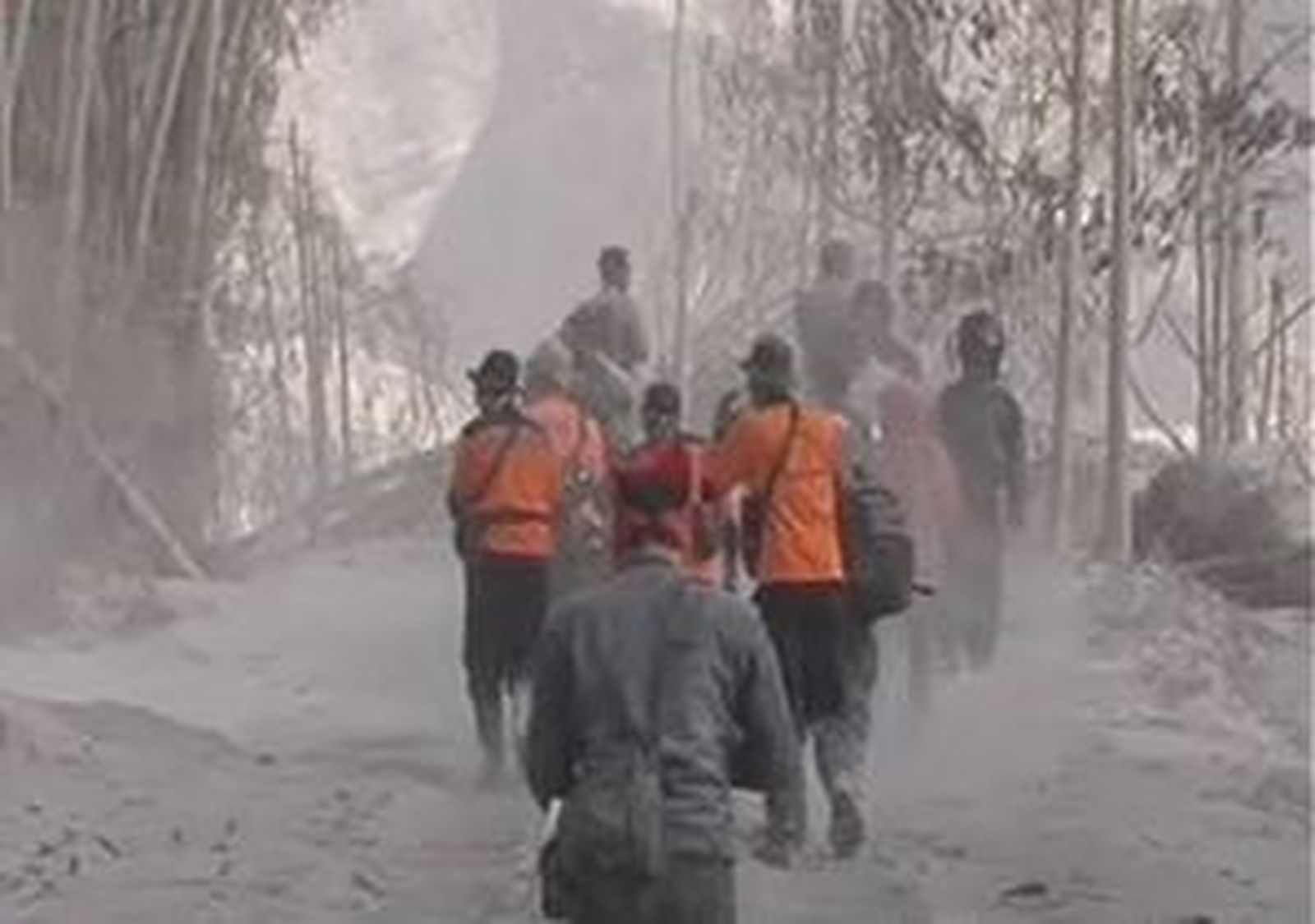 271010-indonesia.wmv