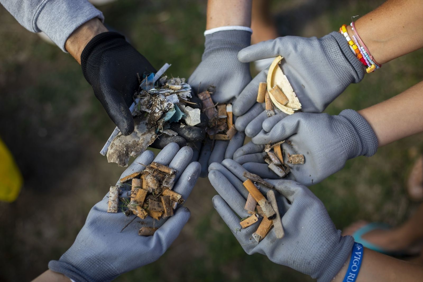 Voluntarios muestran colillas recogidas en una campaña de SEO Birdlife