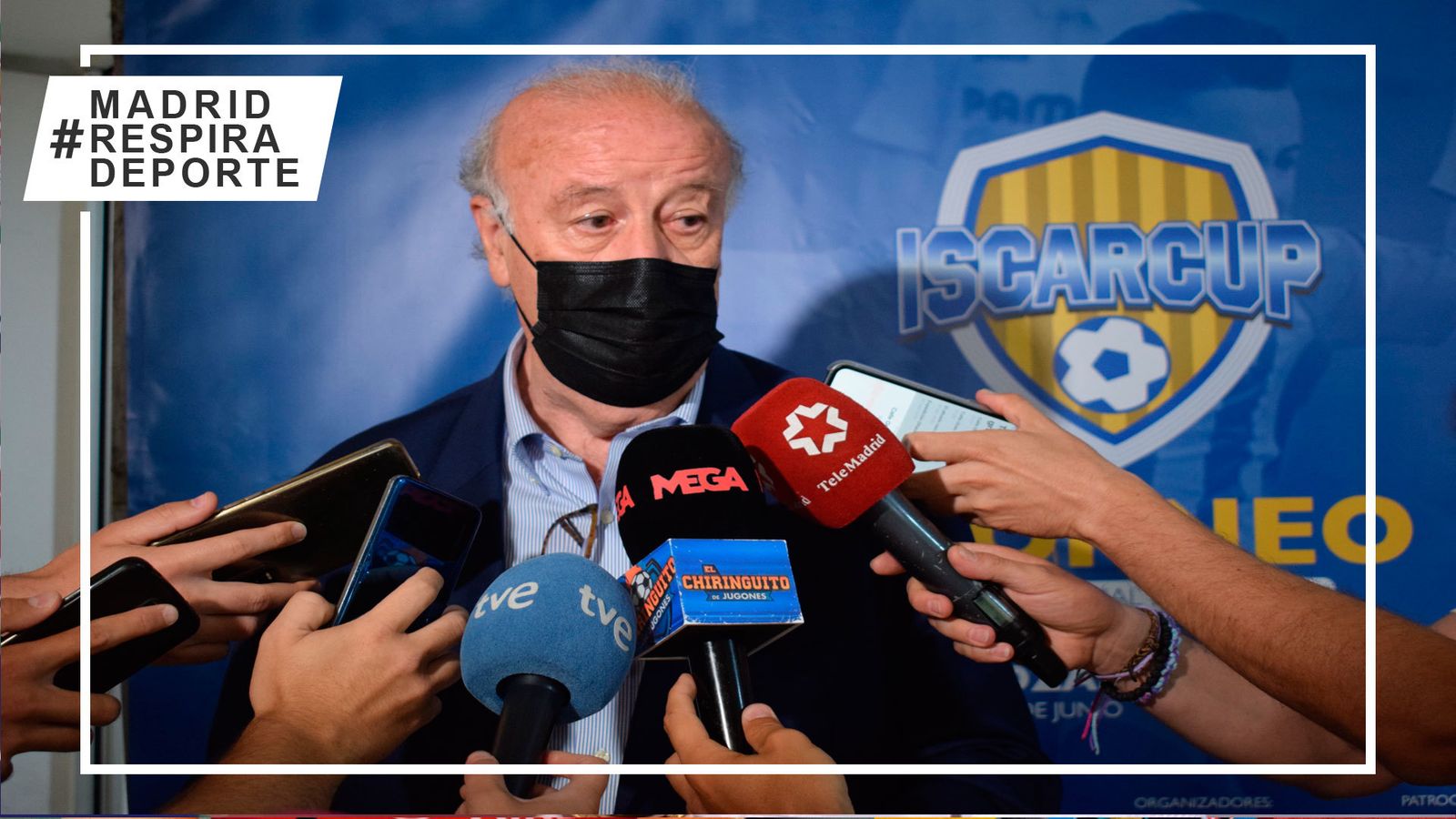 Vicente del Bosque