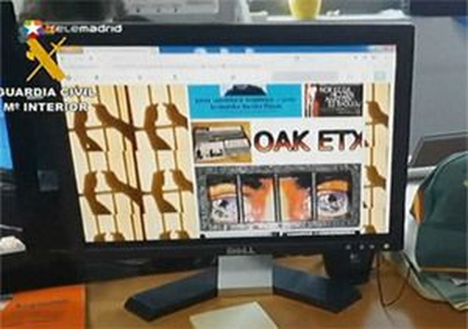 Detenidas 21 personas por enaltecimiento del terrorismo en Internet