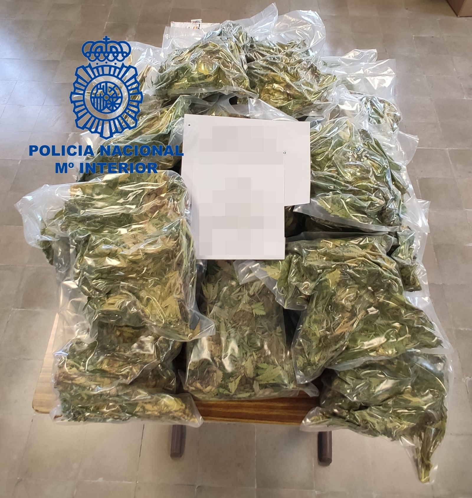 Un desahucio acaba con una detenida por cultivo de marihuana