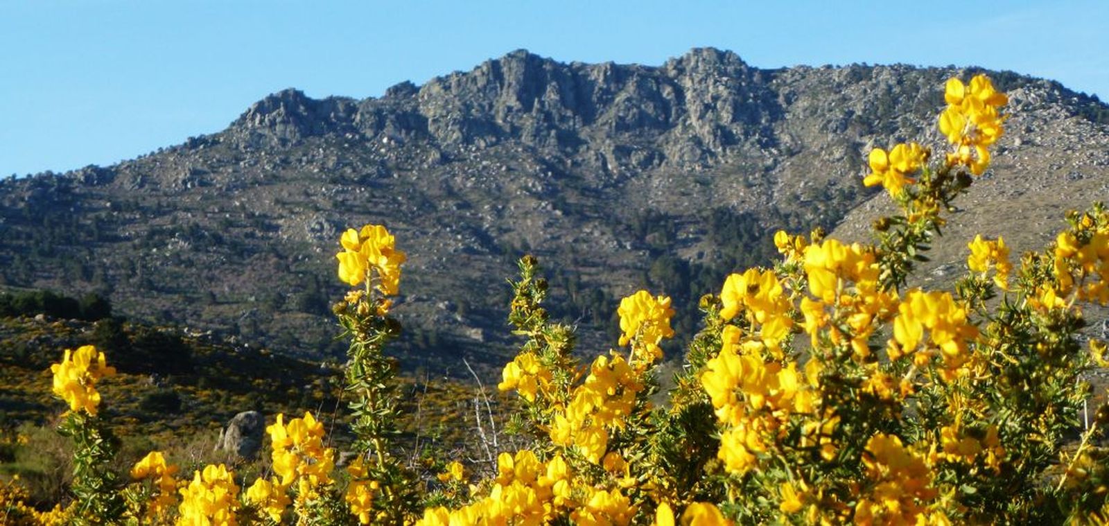 Cambroños con el fondo de las cumbres de La Peñota