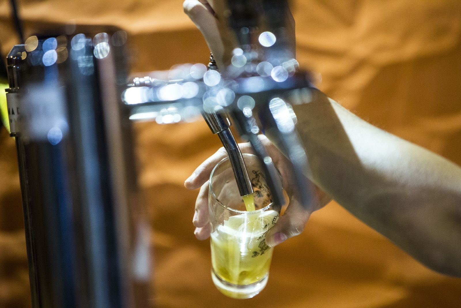 Las Rozas Beer Festival