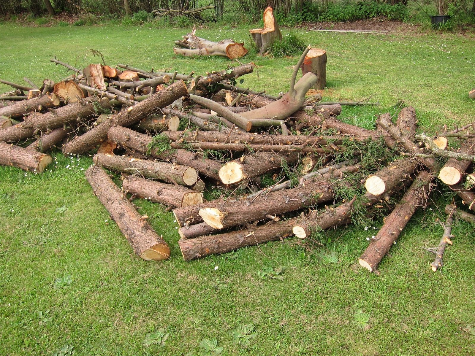 Madera cortada