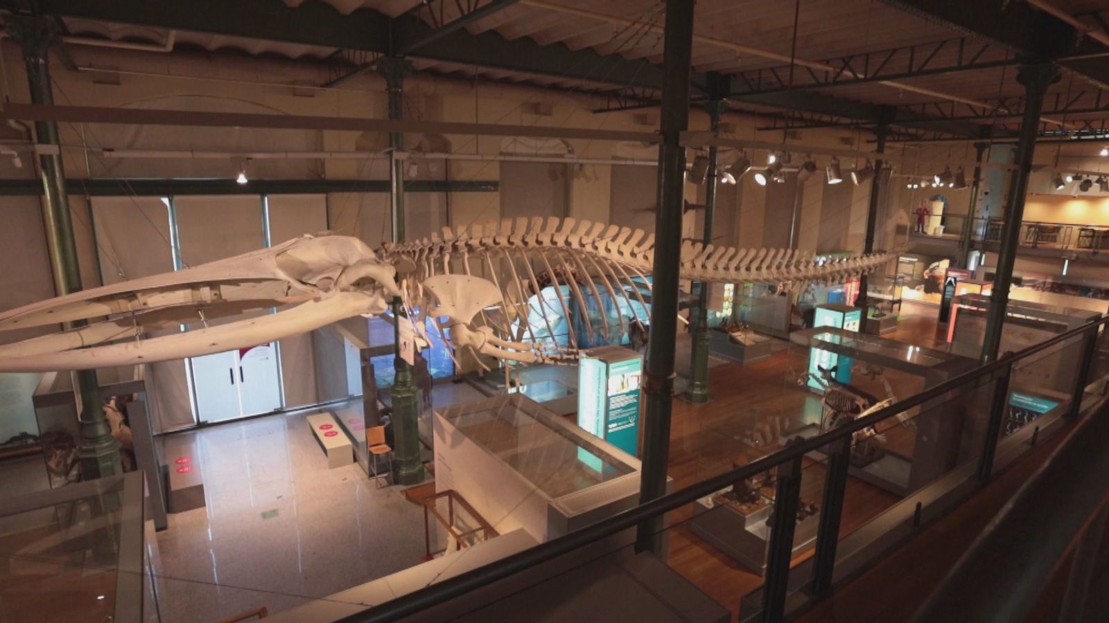 Museo Nacional de Ciencias Naturales