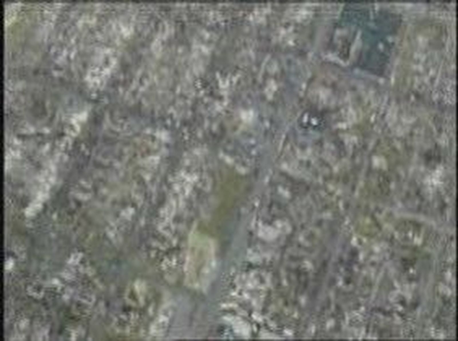tornado joplin