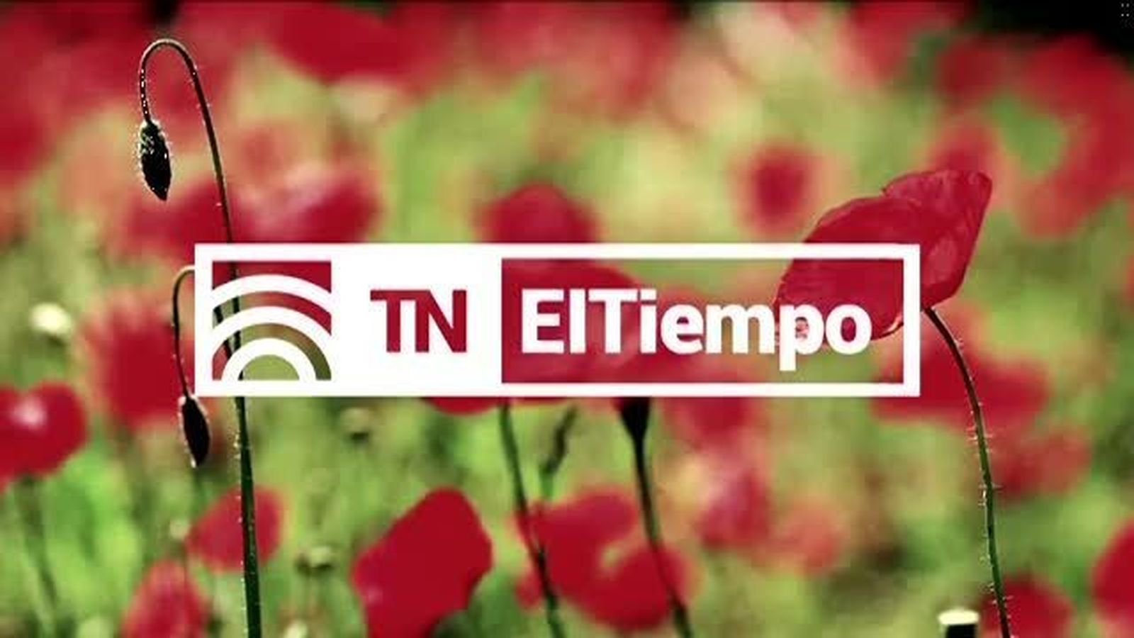 El Tiempo 2 04.02.2018