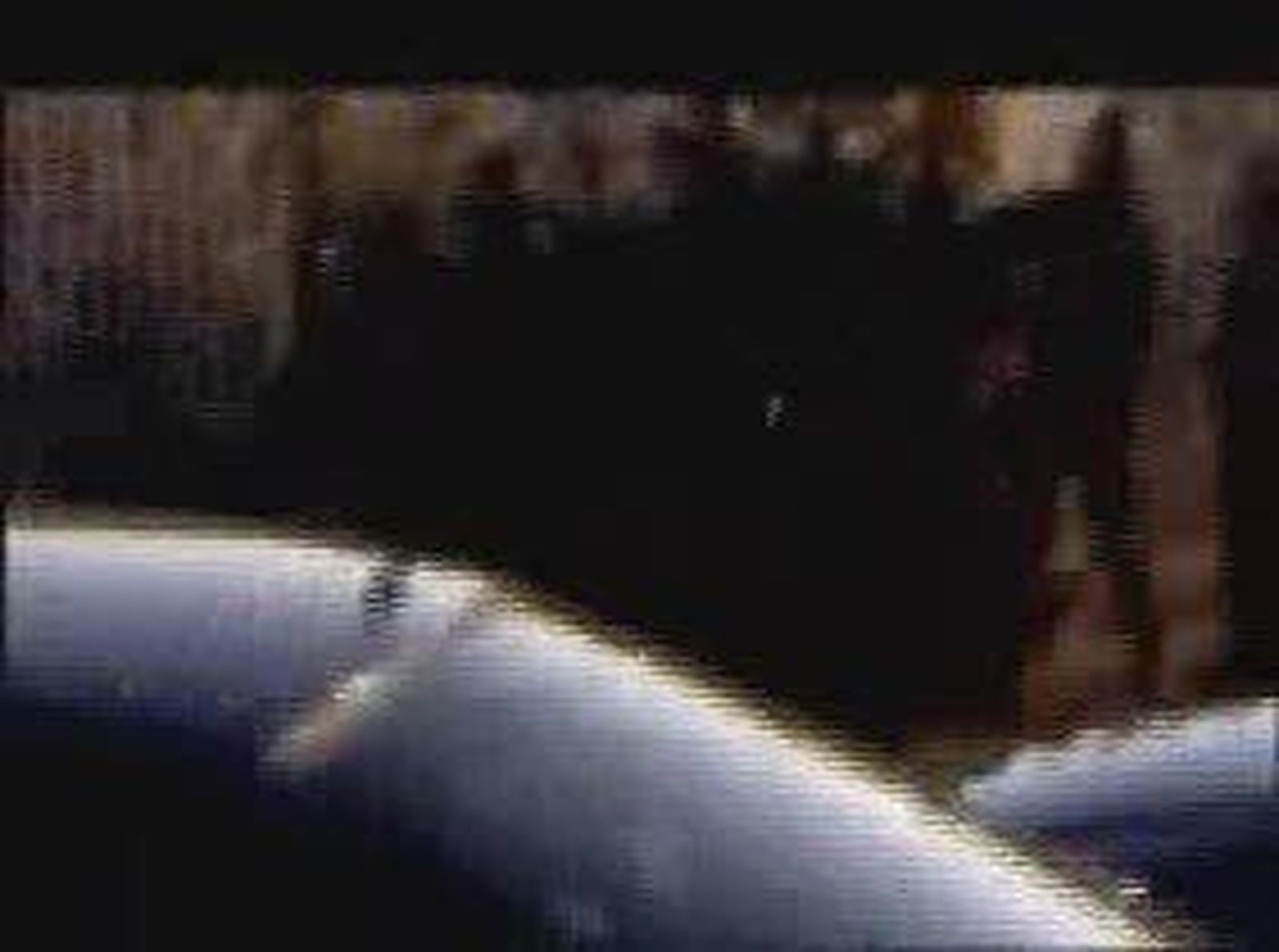 Imputado_2010102V0.wmv