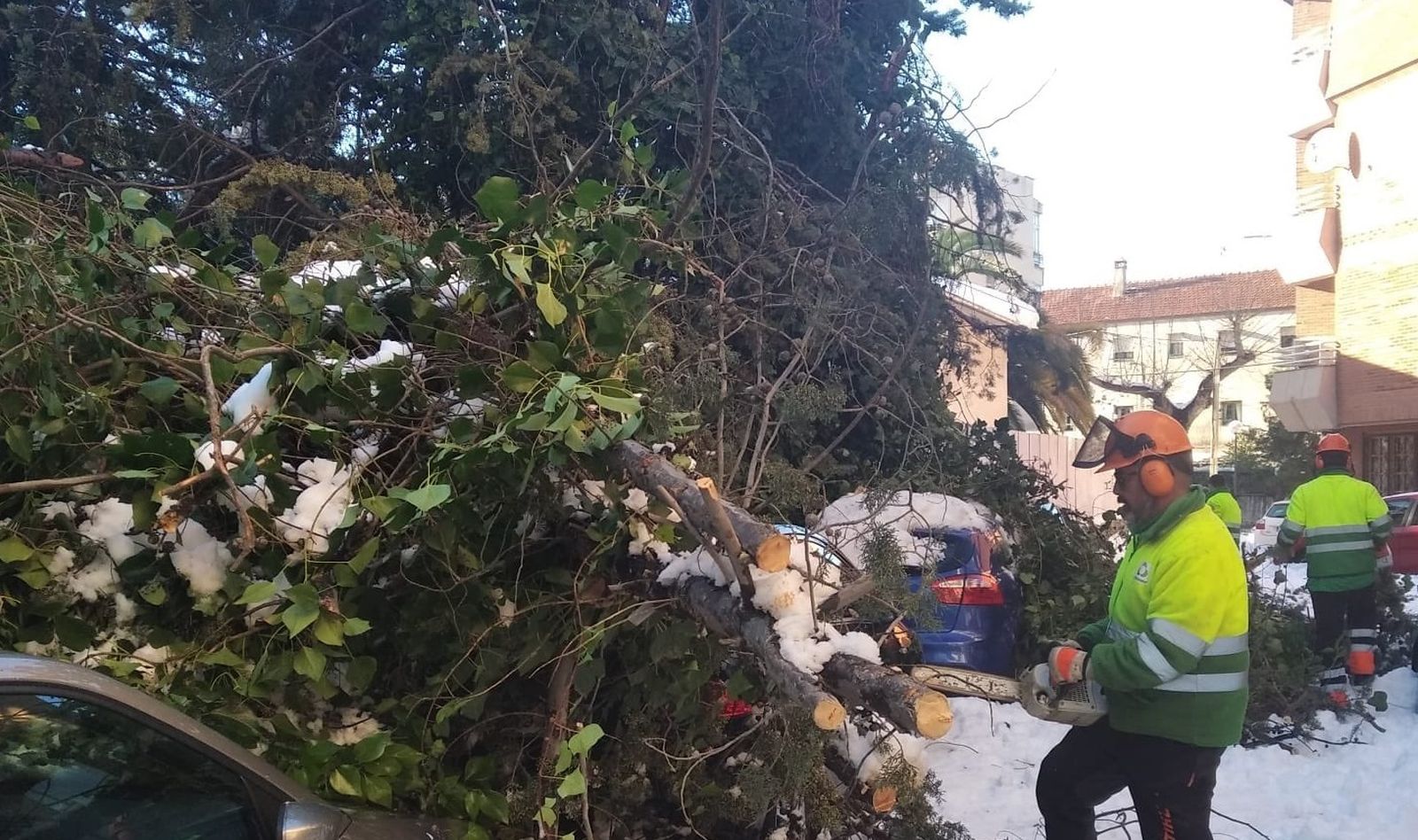 Operarios retirando ramas en Las Rozas