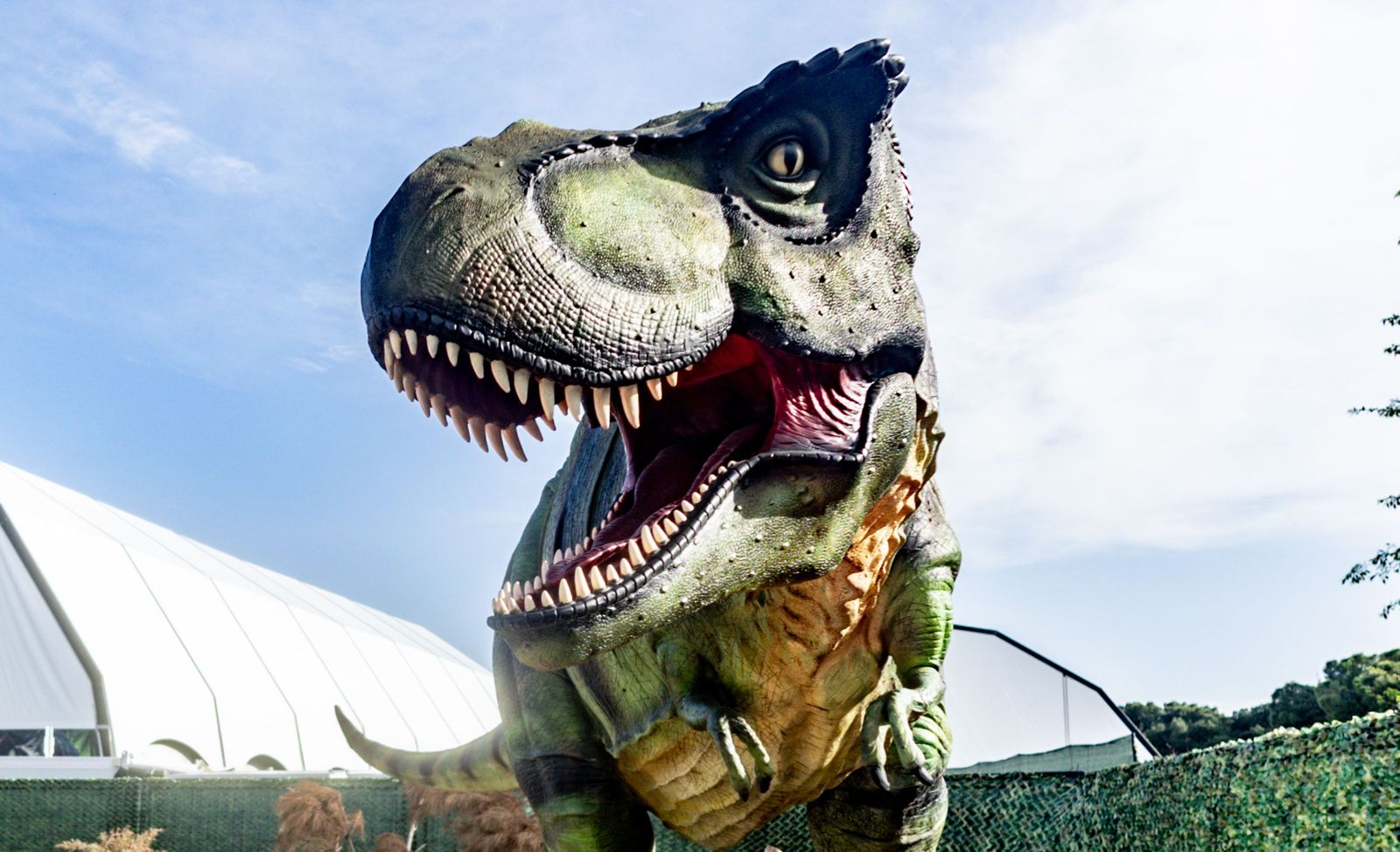 Dinosaurio en una exposición