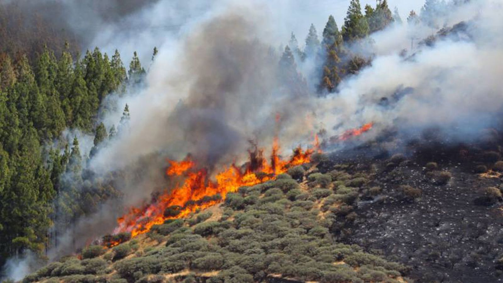 Incendio en Gran Canaria