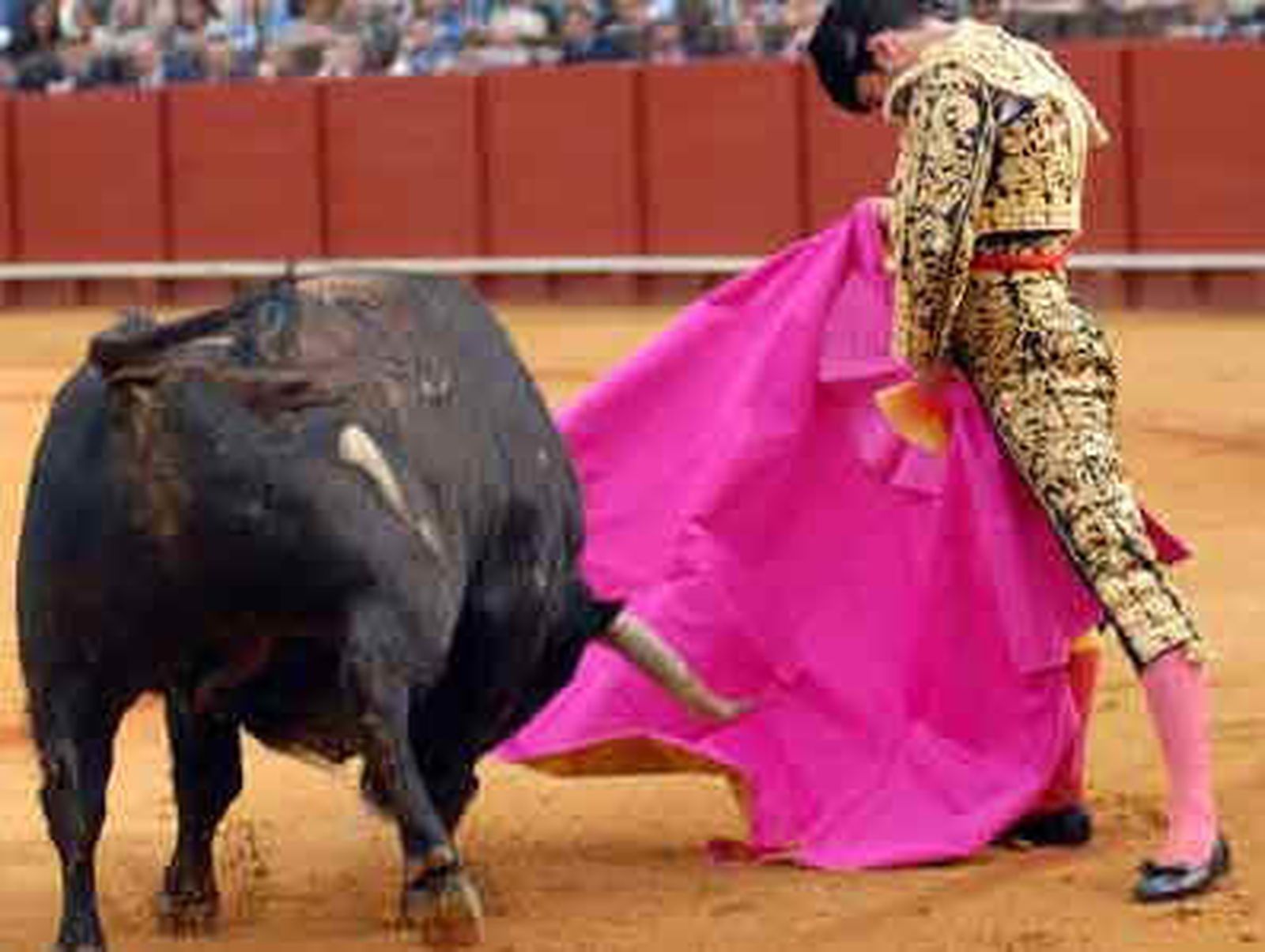 Morante, Saldívar y Talavante este domingo en las Ventas