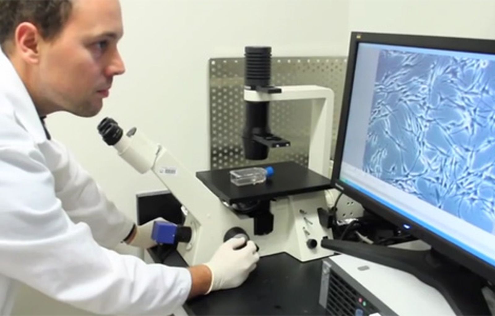 investigacion_columbia