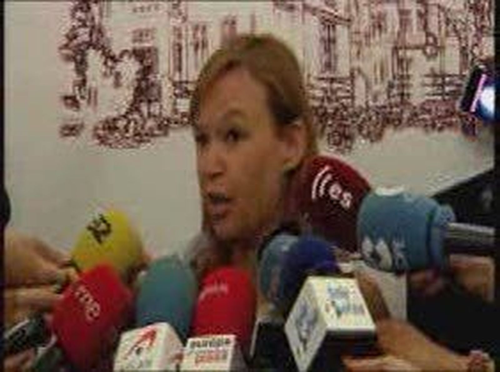 Pajín dice que pagó la tarifa por usar las instalaciones de una isla balear