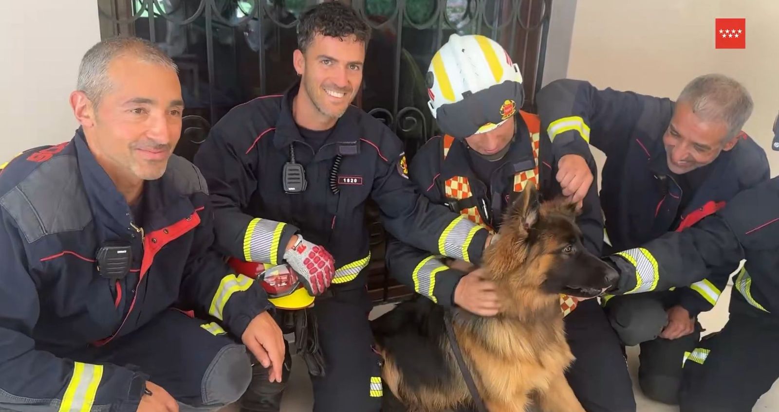 Bomberos consiguen liberar un cachorro de pastor alemán atrapado, en Majadahonda