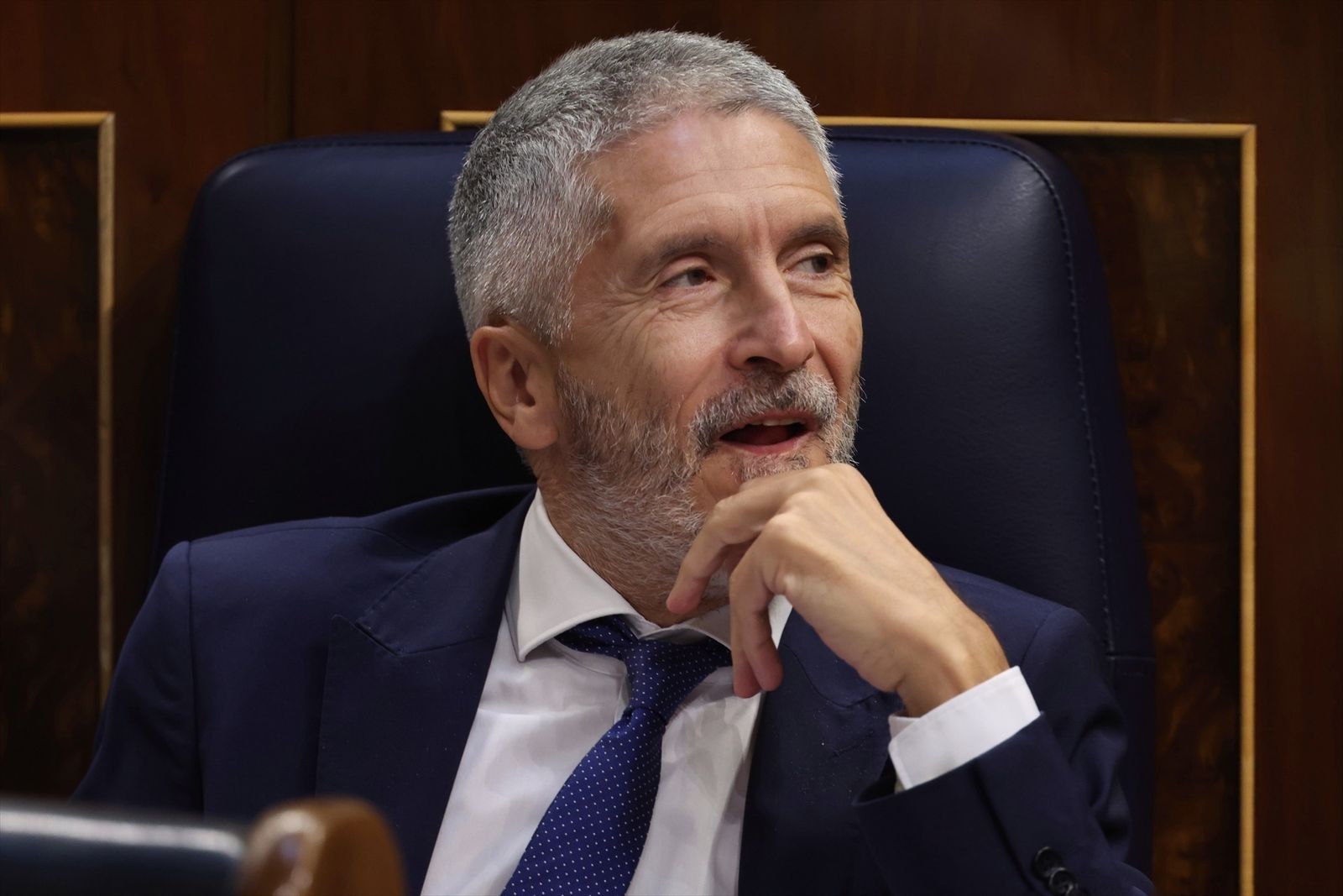 El ministro del Interior, Fernando Grande-Marlaska
