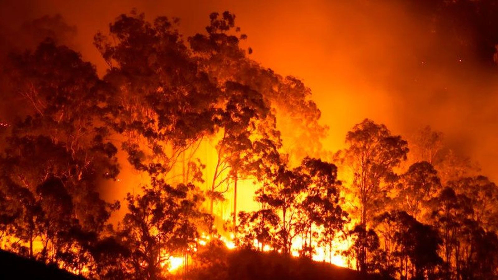 Más de la mitad de incendios en la Comunidad de Madrid son "intencionados"