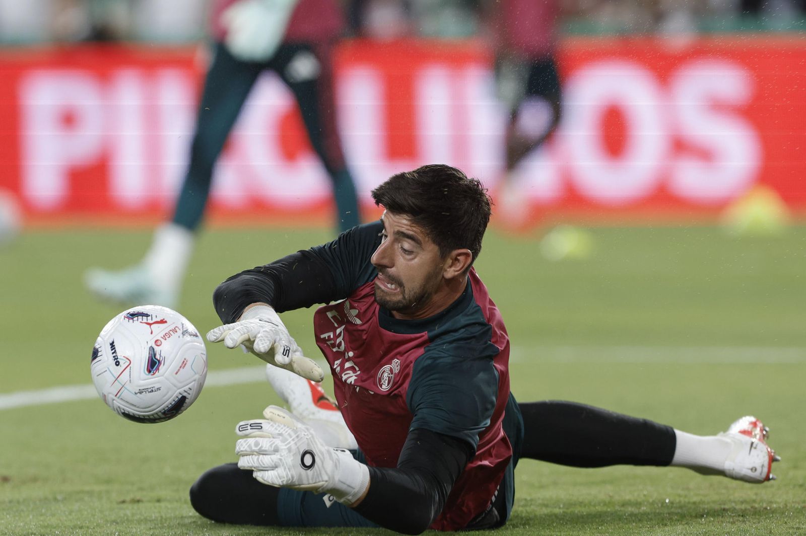 Courtois