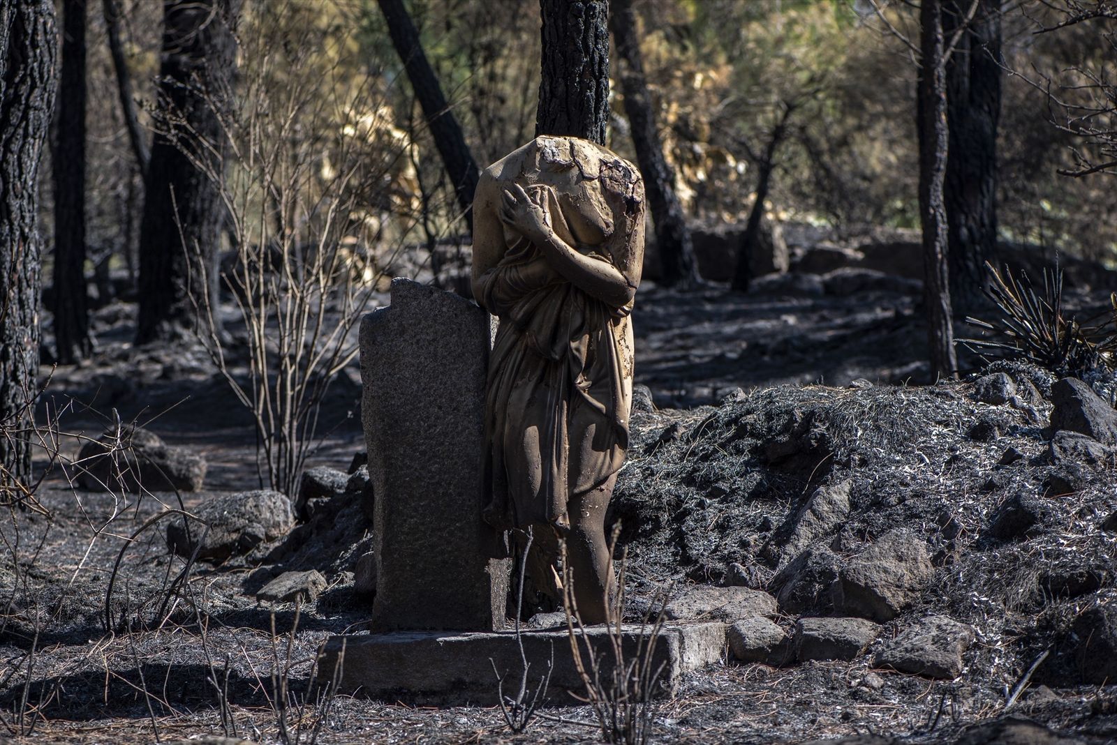 Una escultura quemada en el Jardín Botánico de La Adrada, Valle del Tiétar, por el incendio iniciado en Burgohondo (Ávila)