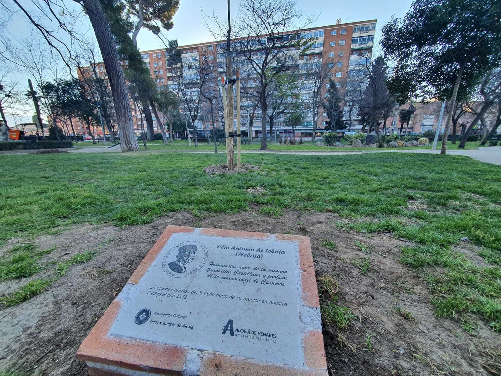 Placa y roble plantado en el Parque de O'Donnell por el V aniversario de la muerte de Antonio de Nebrija en Alcalá de Henares