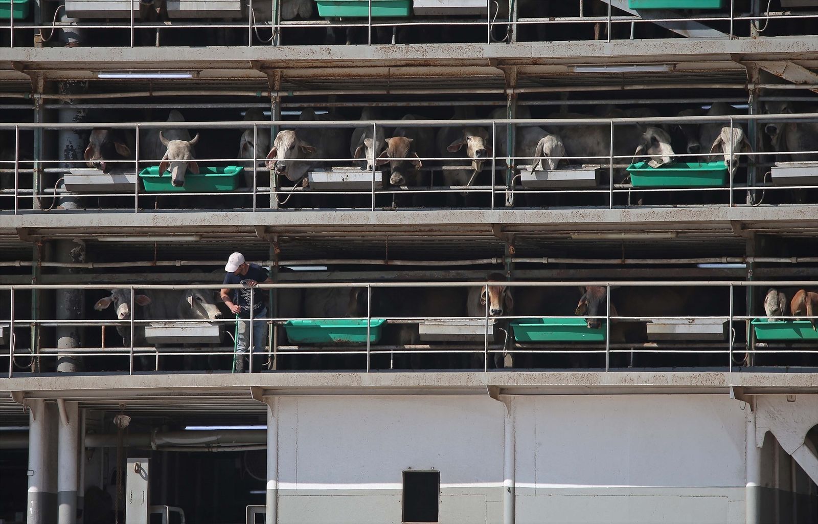 El barco retenido en Cádiz emprende viaje tras no hallarse droga en su interior