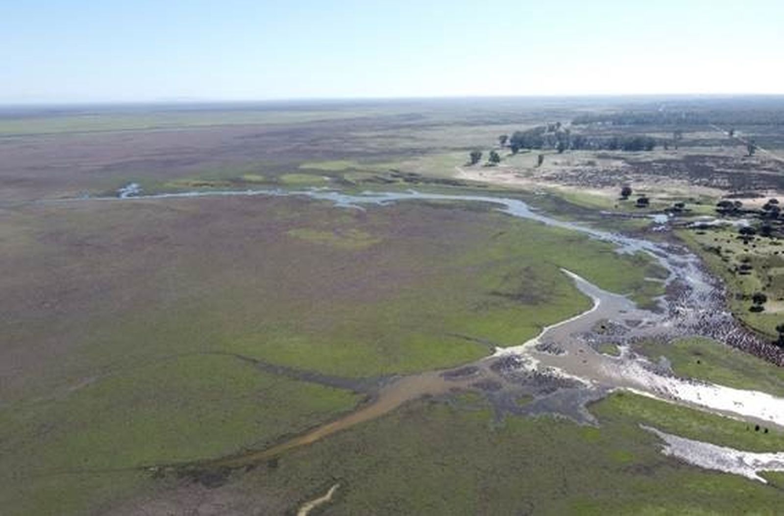 Vista de las marismas de Doñana y del caño de El Guaperal