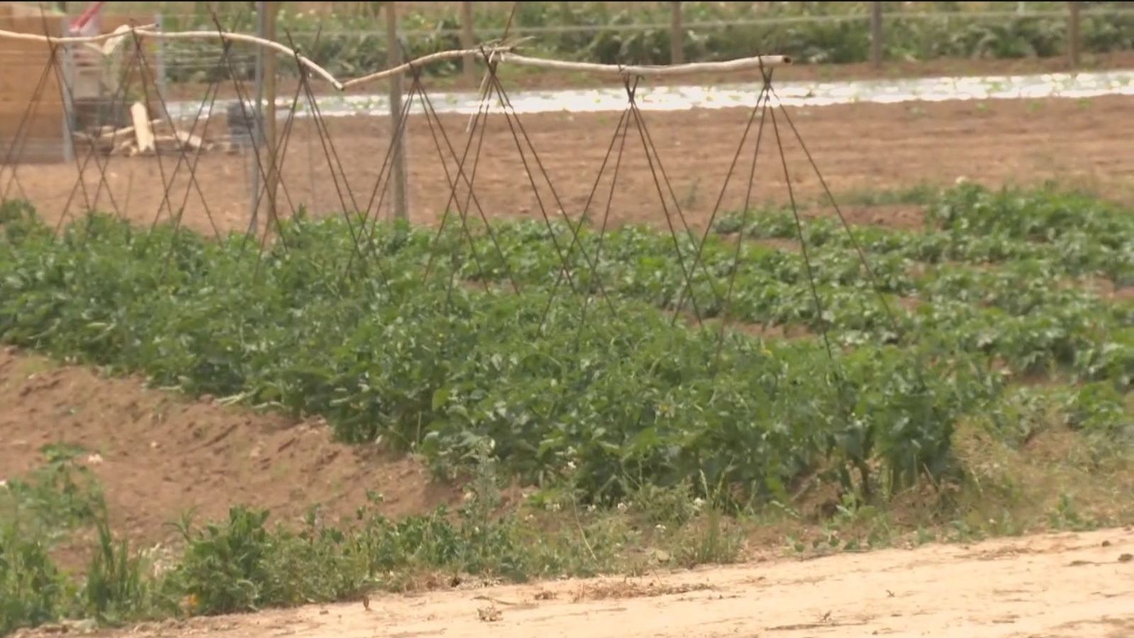 Agricultores catalanes protestan por la falta de agua